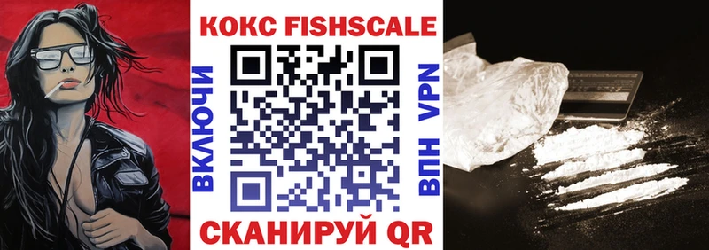 COCAIN Fish Scale  магазин продажи   Сухой Лог 