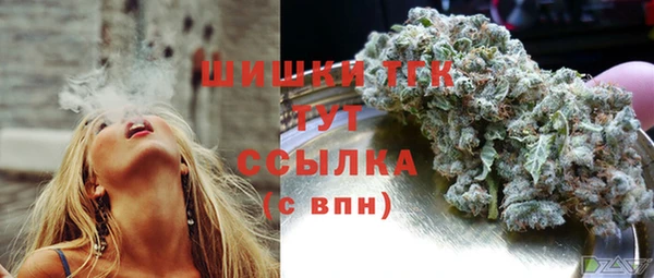 ПСИЛОЦИБИНОВЫЕ ГРИБЫ Кулебаки