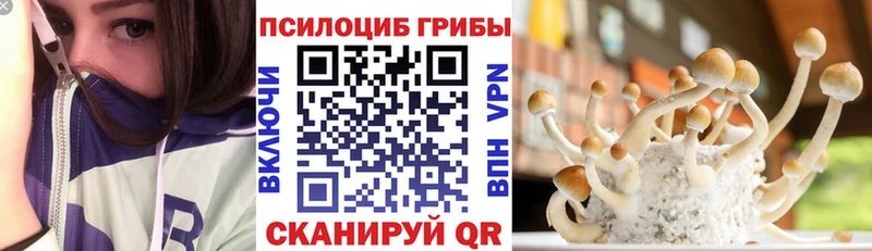 MEGA ССЫЛКА  Сухой Лог  Галлюциногенные грибы Cubensis 