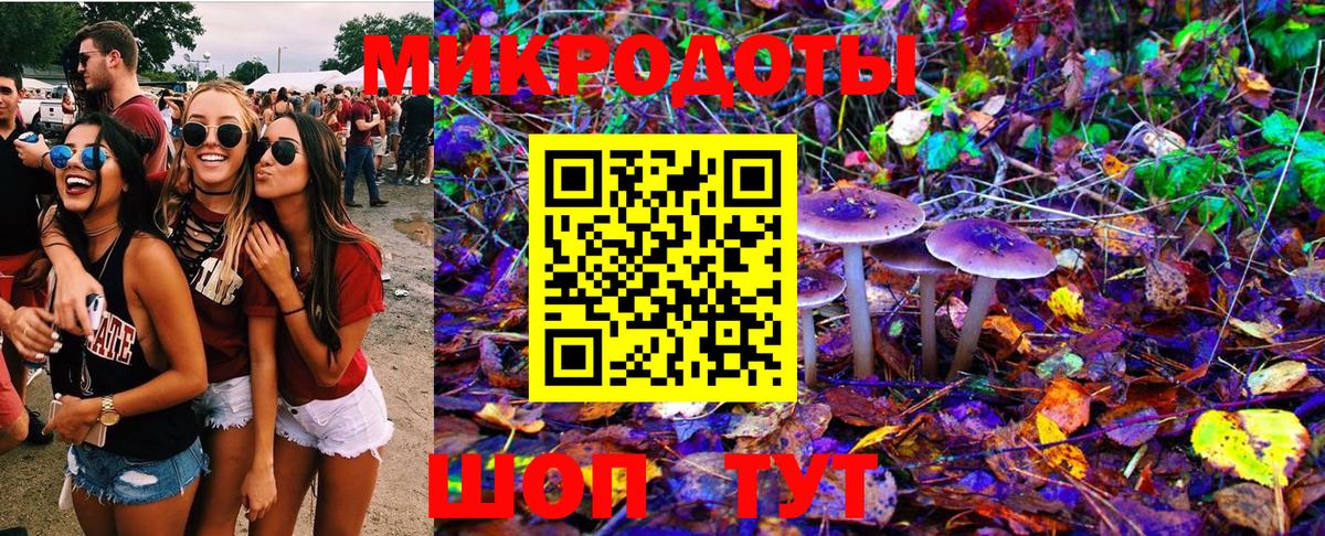 Галлюциногенные грибы мухоморы Сухой Лог