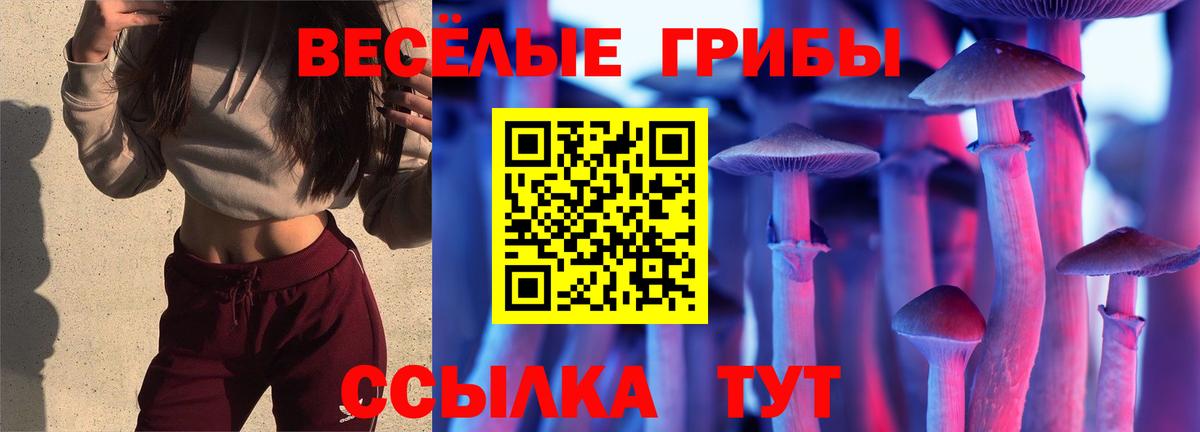 Псилоцибиновые грибы ЛСД  Вход с VPN  Сухой Лог  Псилоцибиновые грибы прущие грибы 